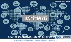 BCF虚拟币概述：投资前必知的一切