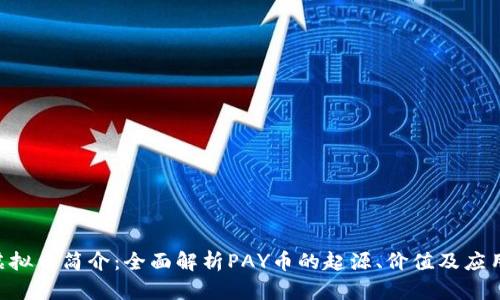 PAY虚拟币简介：全面解析PAY币的起源、价值及应用前景