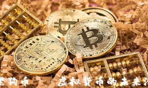 
深入了解黑狗币——虚拟货币的未来潜力与风险