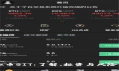 虚拟币BIT：了解、投资与风险分析