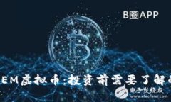 深入解析PEM虚拟币：投资前需要了解的关键要点