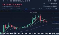   中国虚拟币市场的未来展望：是否还