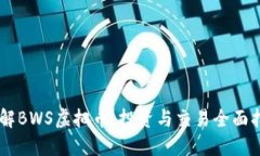 了解BWS虚拟币：投资与交易全面指南