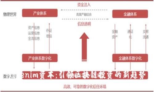 Tokenim资本：引领区块链投资的新趋势