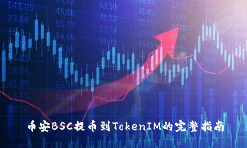 币安BSC提币到TokenIM的完整指南