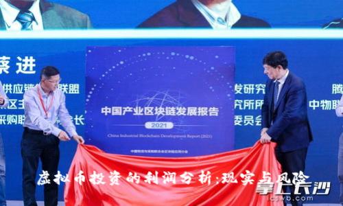 虚拟币投资的利润分析：现实与风险