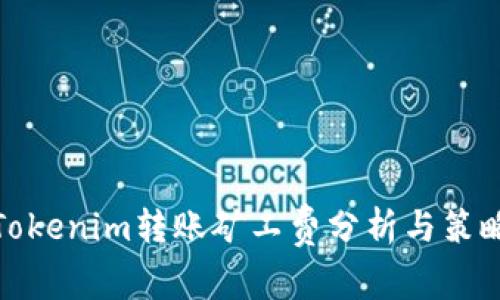 Tokenim转账矿工费分析与策略