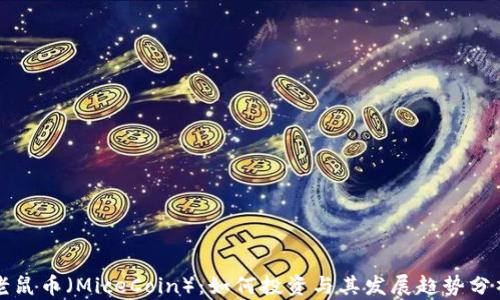 
老鼠币（MiceCoin）：如何投资与其发展趋势分析