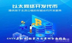 CNYX虚拟币：投资与交易的全面指南