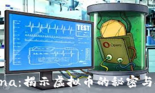   
PolarChina：揭示虚拟币的秘密与投资机会
