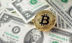 炒虚拟币被骗8万的教训：如何避免陷阱？/虚拟币