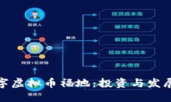 全球数字虚拟币福地：投资与发展的机遇