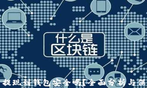 虚拟币提现到钱包安全吗?全面分析与保障措施