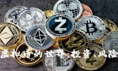 探索500亿虚拟币的世界：投资、风险与