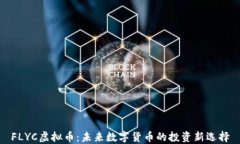 FLYC虚拟币：未来数字货币的投资新选
