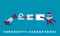全面解析虚拟币GOOC：未来发展趋势及投资机会
