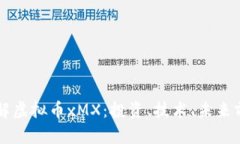 深入了解虚拟币xMX：投资、技术、未来
