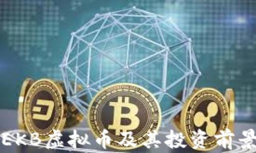 
详解EKB虚拟币及其投资前景分析