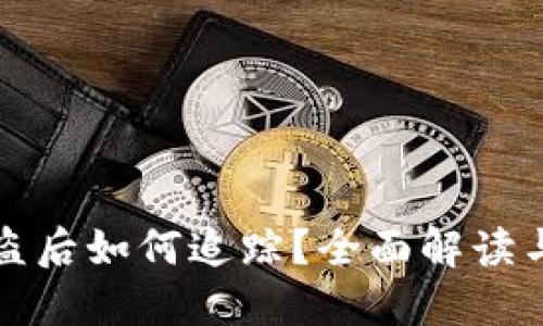 虚拟币被盗后如何追踪？全面解读与防范措施