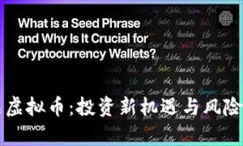 商品虚拟币:投资新机遇与风险分析