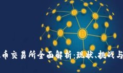 中国虚拟币交易所全面解析：现状、挑