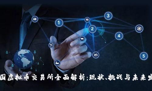 中国虚拟币交易所全面解析:现状、挑战与未来发展