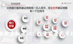 全面解析虚拟币SCI：投资前景与市场动