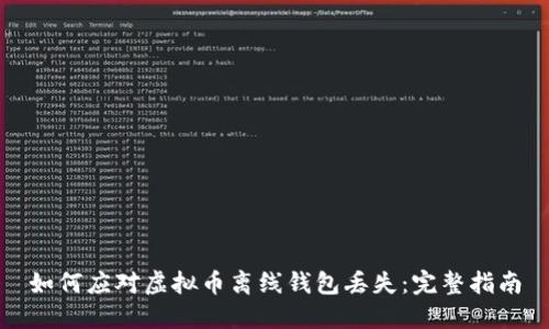 如何应对虚拟币离线钱包丢失:完整指南