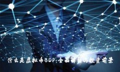 什么是虚拟币BDP：全面解析与投资前景