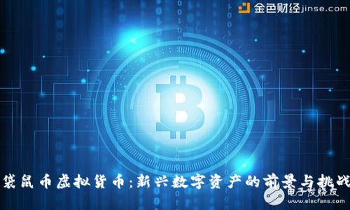 袋鼠币虚拟货币:新兴数字资产的前景与挑战