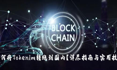 如何将Tokenim转账到国内?详尽指南与实用技巧
