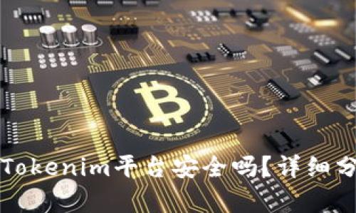 比特币存放在Tokenim平台安全吗?详细分析与用户指南
