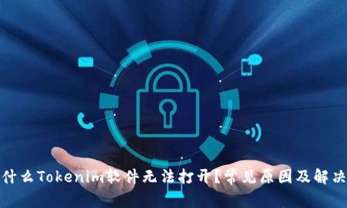: 为什么Tokenim软件无法打开?常见原因及解决方案