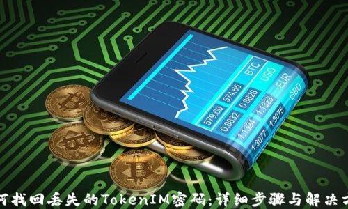 如何找回丢失的TokenIM密码:详细步骤与解决方案