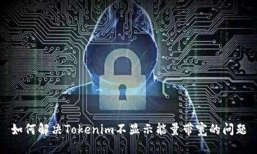 如何解决Tokenim不显示能量带宽的问题