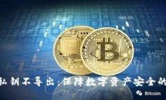 tokenim私钥不导出：保障数字资产安全