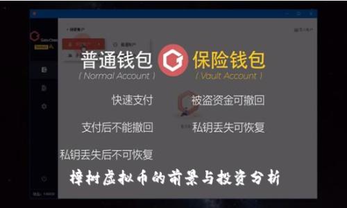 樟树虚拟币的前景与投资分析