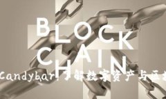 Tokenim Candybar：了解数字资产与区块链