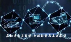 虚拟币交易监管：全球趋势与未来展望
