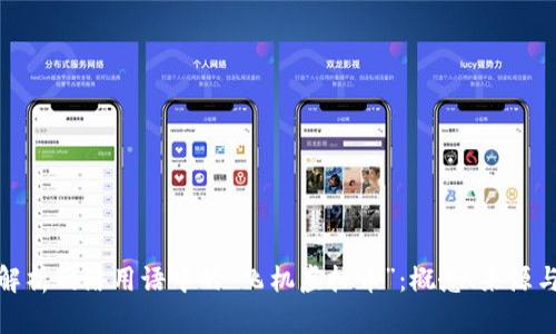 深入解析网络用语中的“飞机虚拟币”：概念、来源与影响