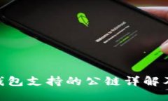 Tokenim钱包支持的公链详解及使用指南