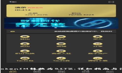 如何将TokenIM转换为BITZ：详细指南与注意事项