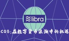 虚拟币COB：在数字货币浪潮中的机遇与挑战