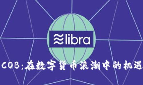 虚拟币COB：在数字货币浪潮中的机遇与挑战