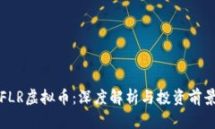 FLR虚拟币：深度解析与投资前景