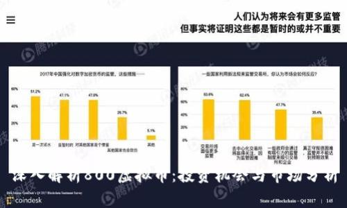 深入解析800虚拟币：投资机会与市场分析