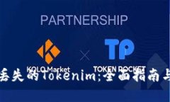 如何找回丢失的Tokenim：全面指南与解