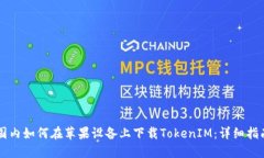 国内如何在苹果设备上下载TokenIM：详