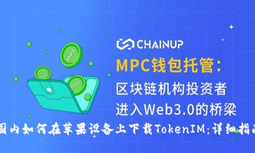 国内如何在苹果设备上下载TokenIM:详细指南