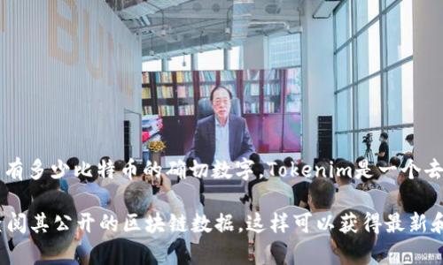 截至我无法访问实时信息的日期（2023年10月），我不能提供当前Tokenim中有多少比特币的确切数字。Tokenim是一个去中心化的金融平台，具体的比特币持有量会随着市场变化和用户交易而波动。

如果您希望知道Tokenim当前的比特币存量，建议访问Tokenim官方网站或查阅其公开的区块链数据，这样可以获得最新和最准确的数字。如果有其他问题或需要进一步的信息，请告诉我！
